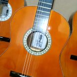 فروش گیتار دستساز با قیمت استثنایی تالش هشتپر