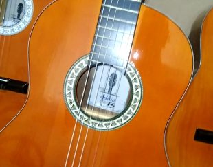 فروش گیتار دستساز با قیمت استثنایی تالش هشتپر