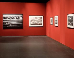 اجاره فضای گالری مجازی هنری